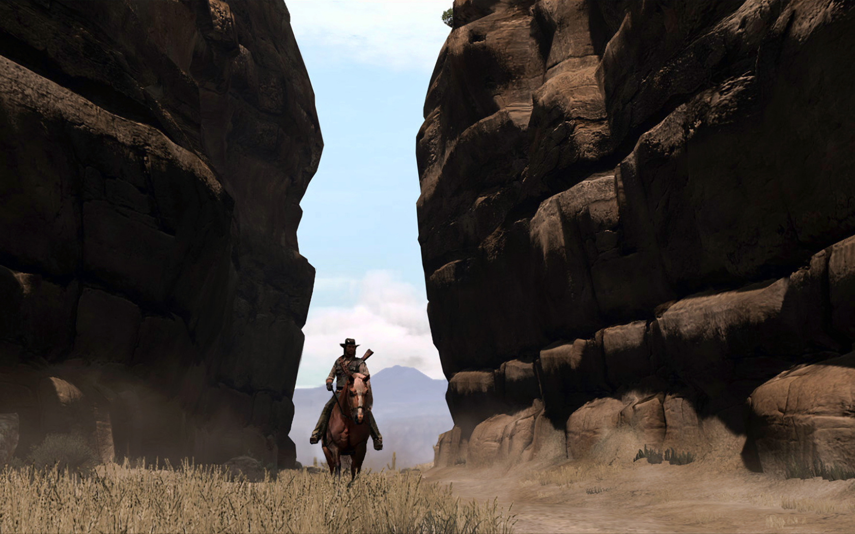 Всадник из видео игры