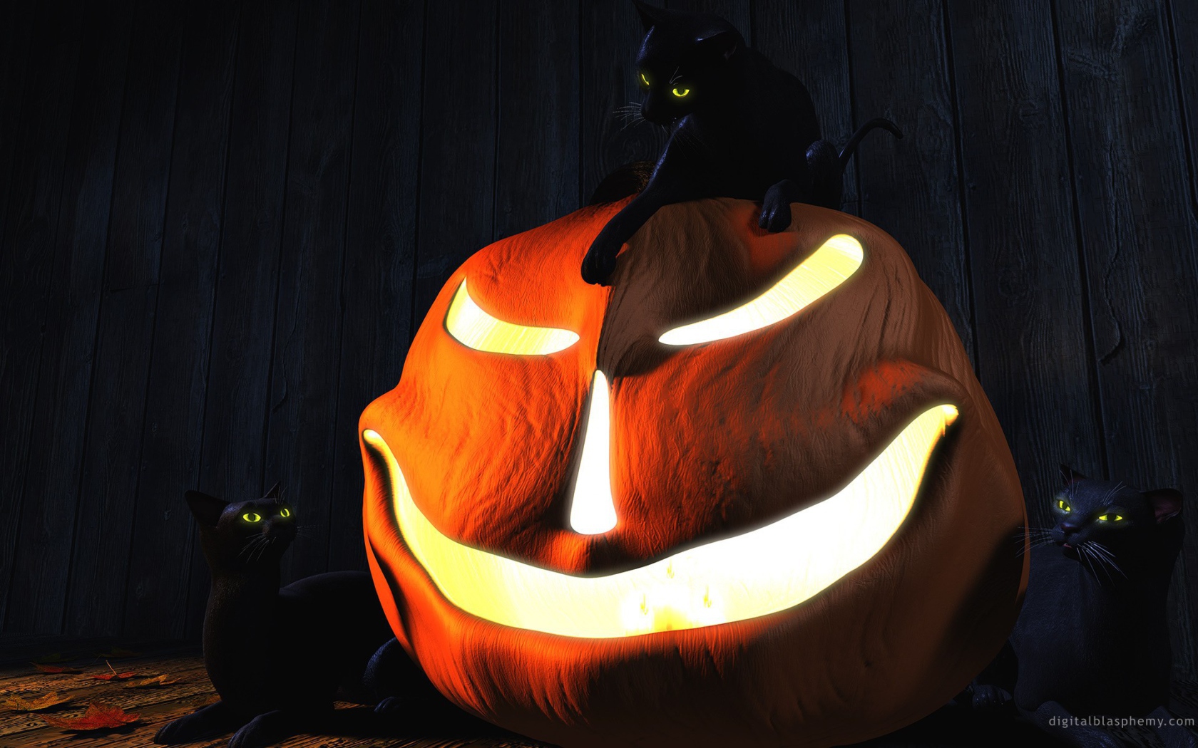 Три черных кота