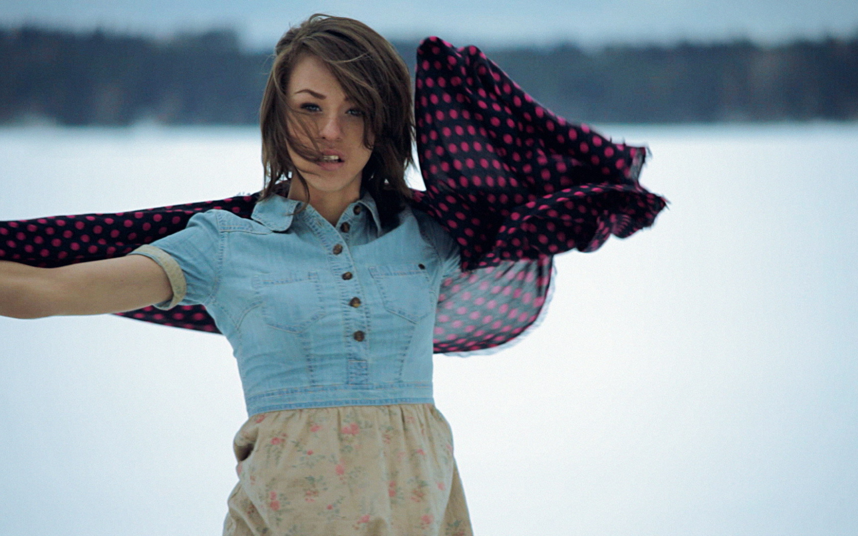 Iowa на фоне снега