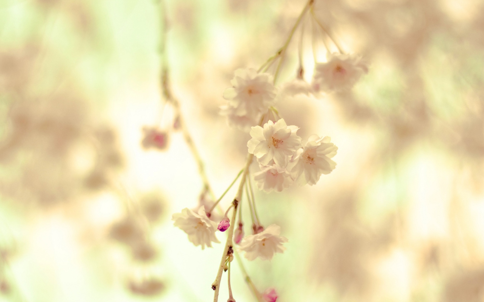 Цветочная веточка