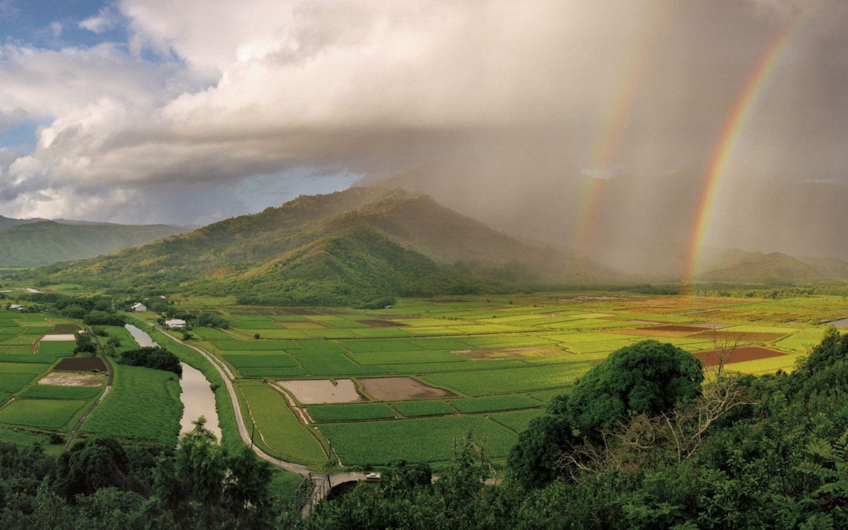 На Гавайях дождь