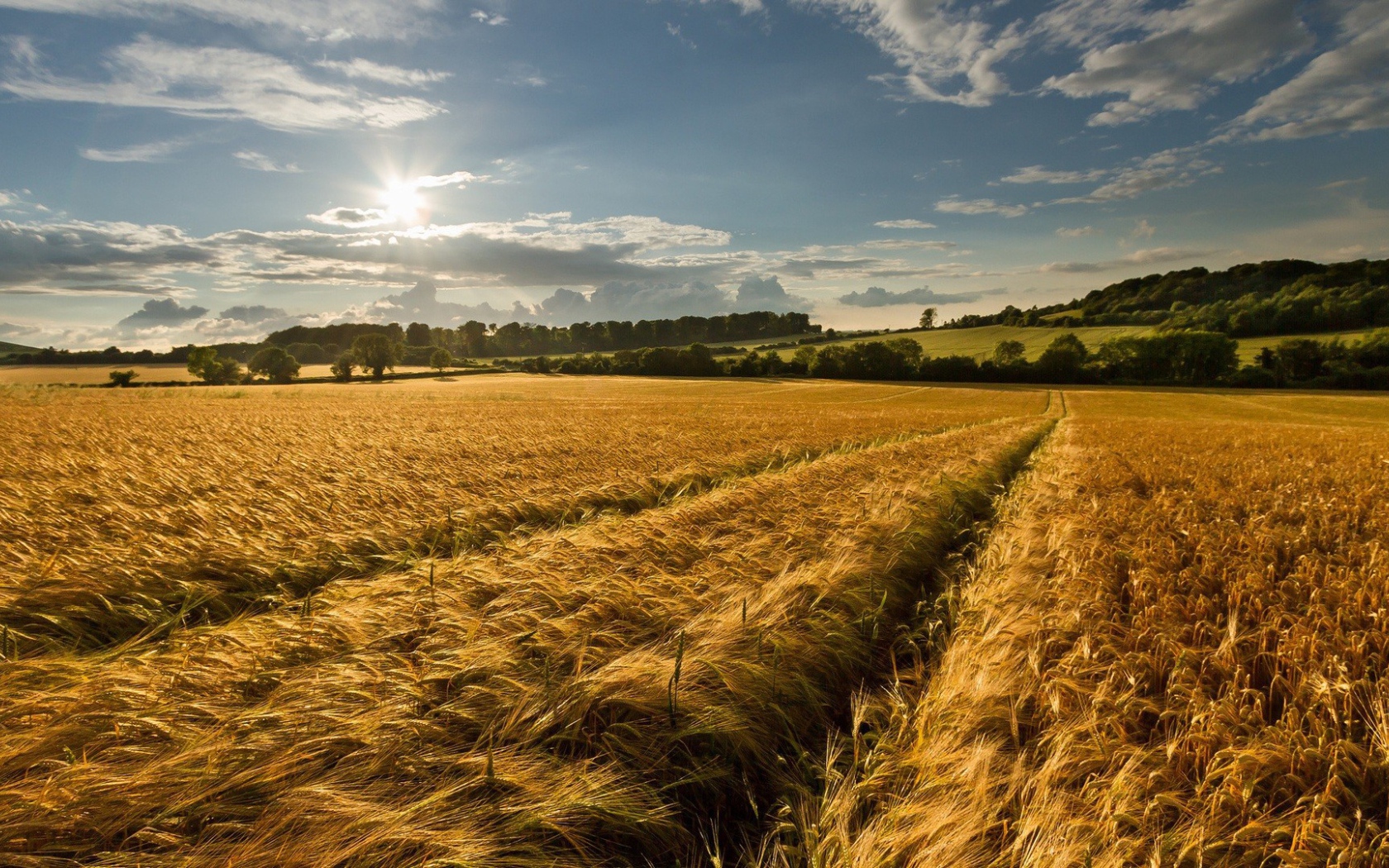 Восход солнца над полем
