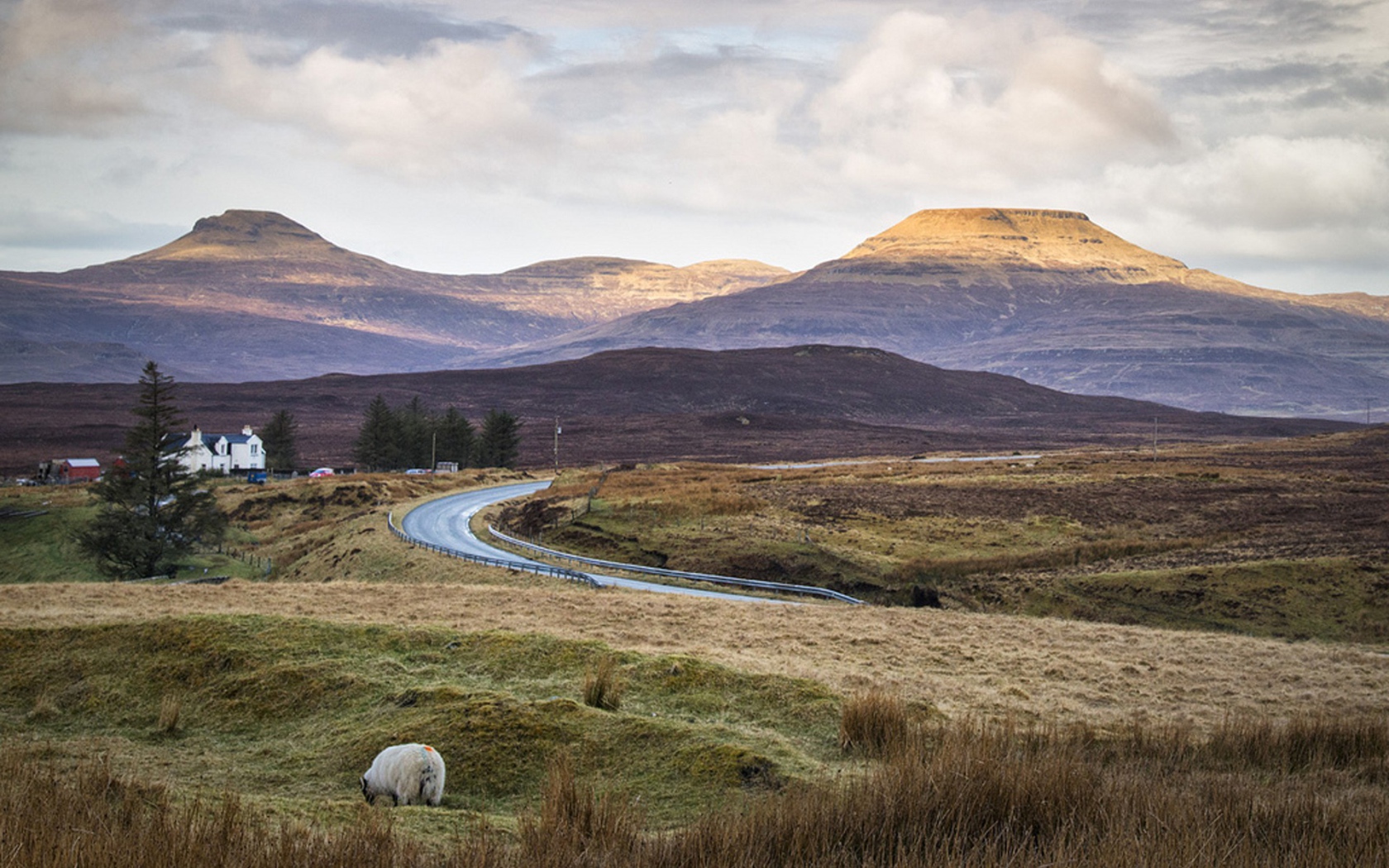 Дорога через поле в горы