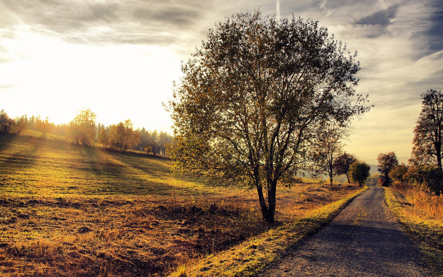 Деревенский пейзаж на закате
