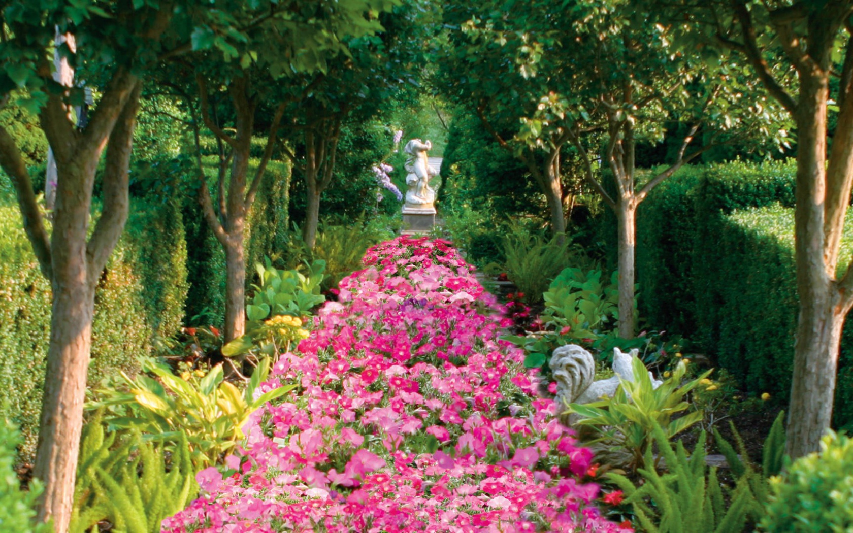 Аллея засаженная цветами