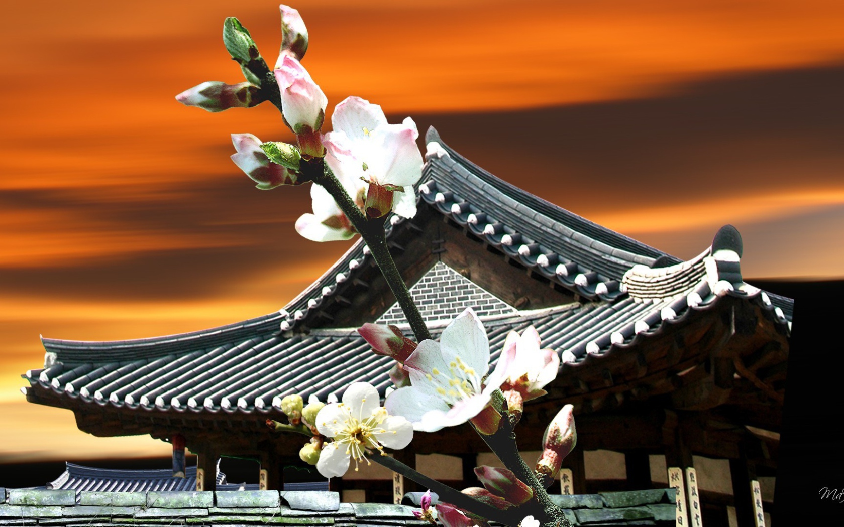 Цветы Японии