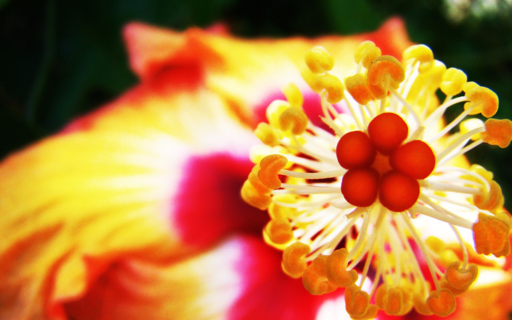 Пестик с тычинками