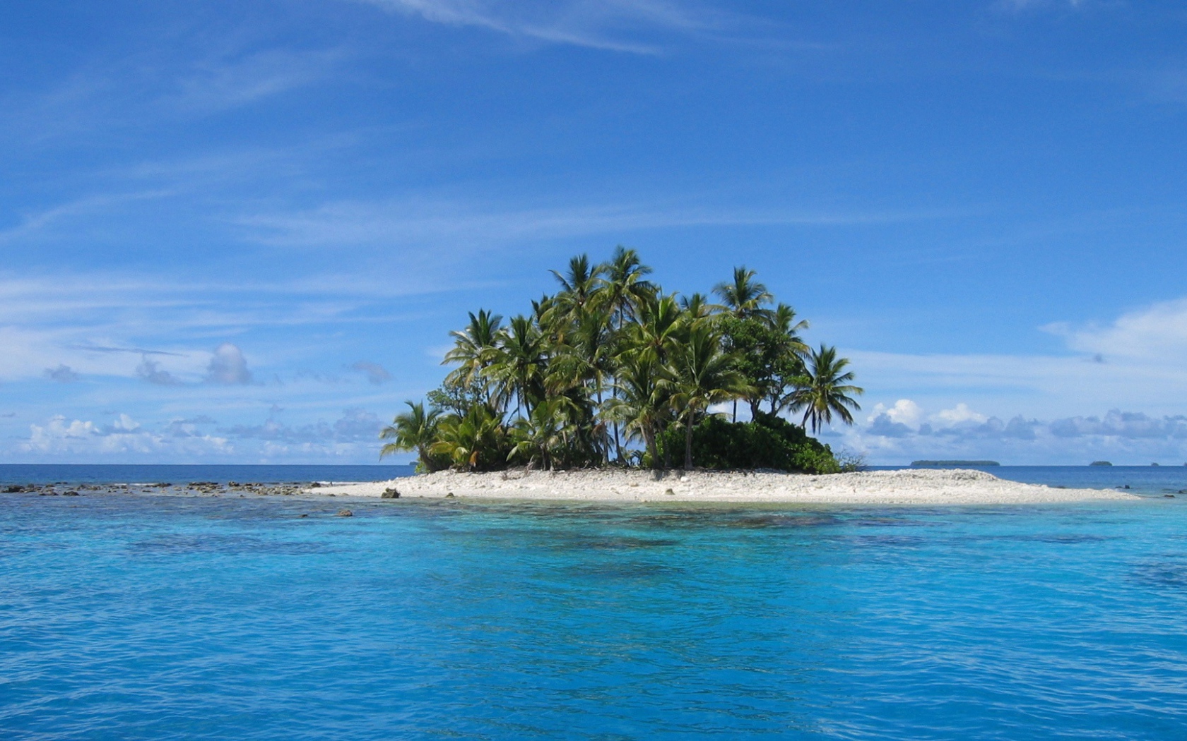 Остров с деревьями