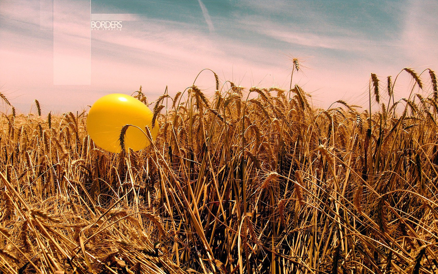 Шарик на пшенице