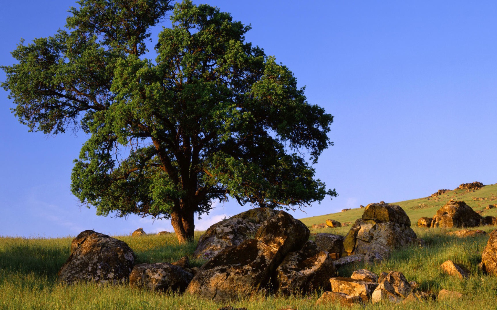 Природа штата Невада