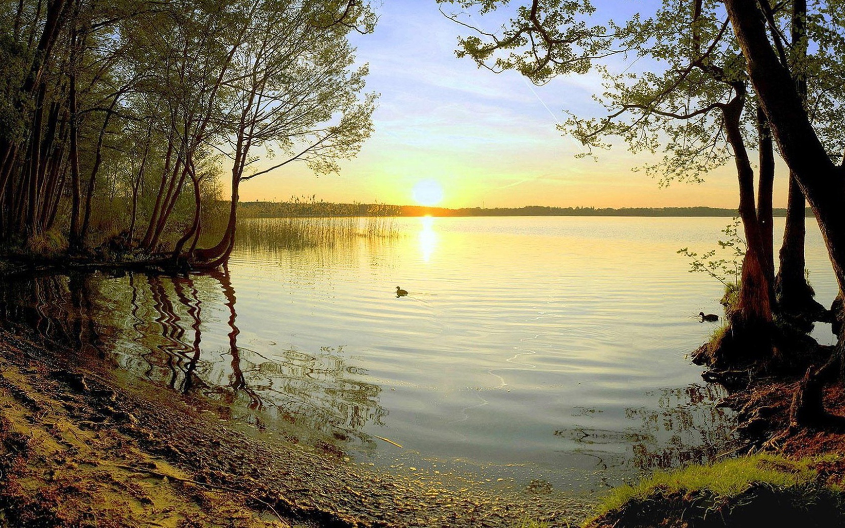 Закат на лесном озере