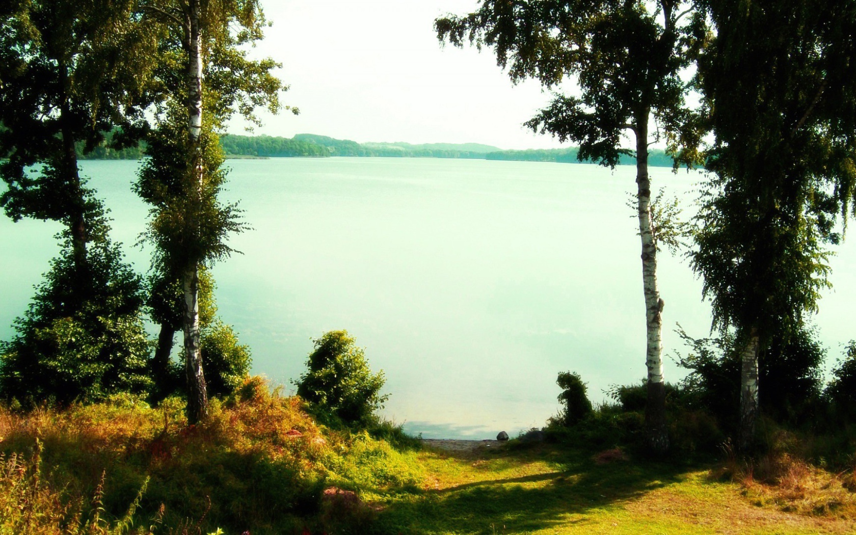 Озеро Полянское Бор