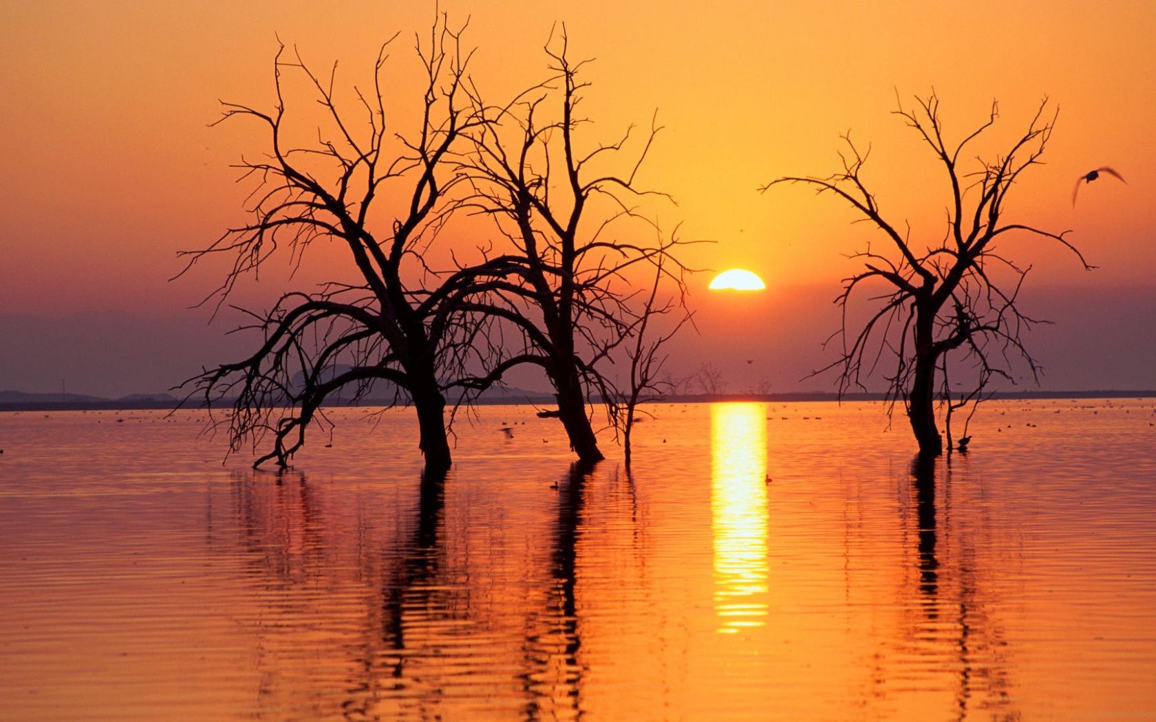 Весеннее половодье в Калифорнии