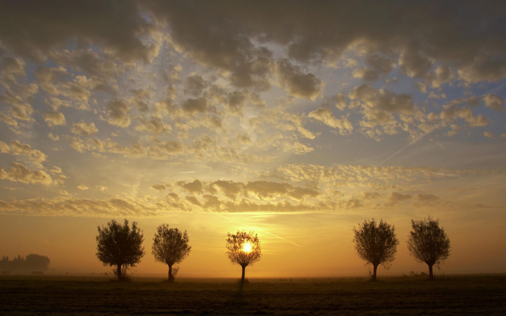 Закат за деревьями