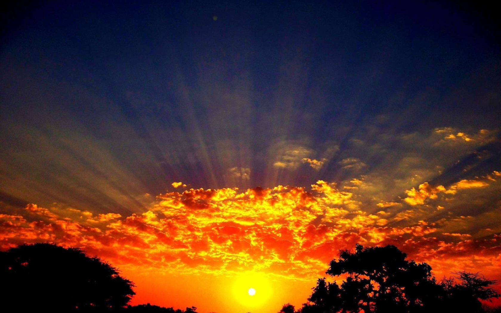 Лучи солнца