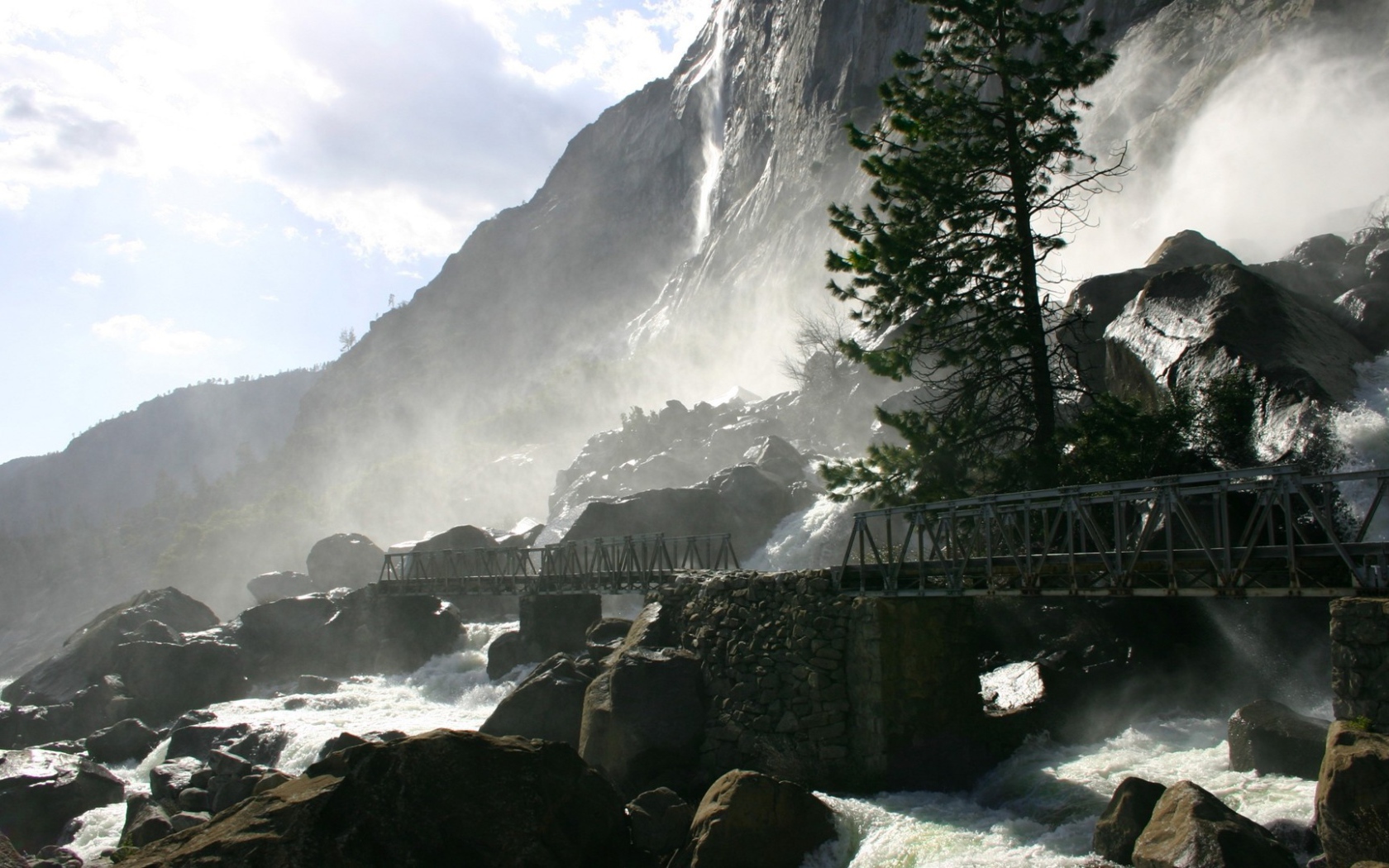 Одинокая сосна у водопада