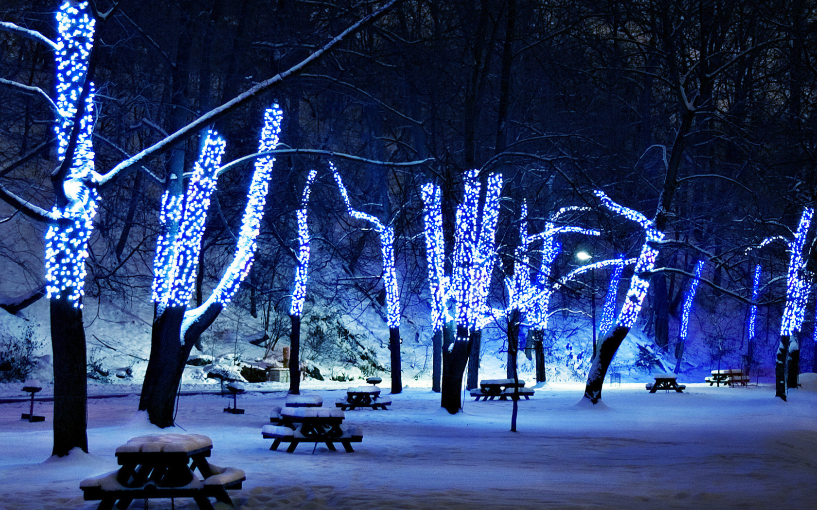 Синяя гирлянда