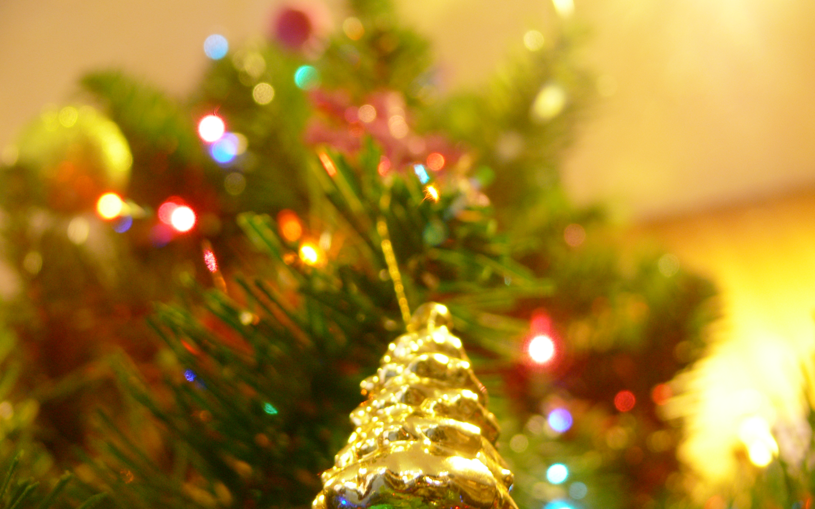 Новогодняя елка в ярких огнях