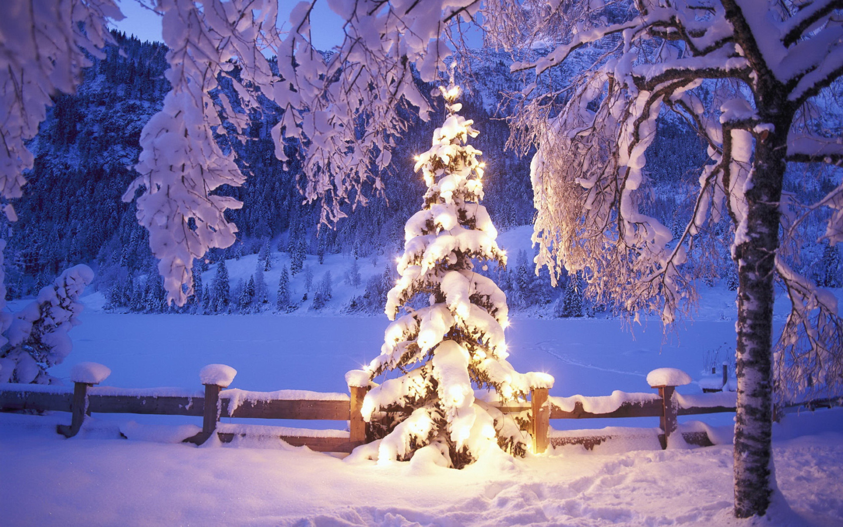 Новогодняя елка под снегом