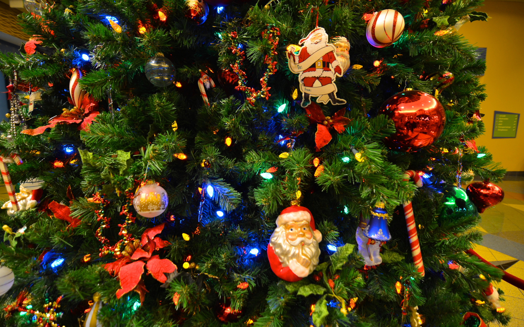 Новогодняя елка с Дедом Морозом