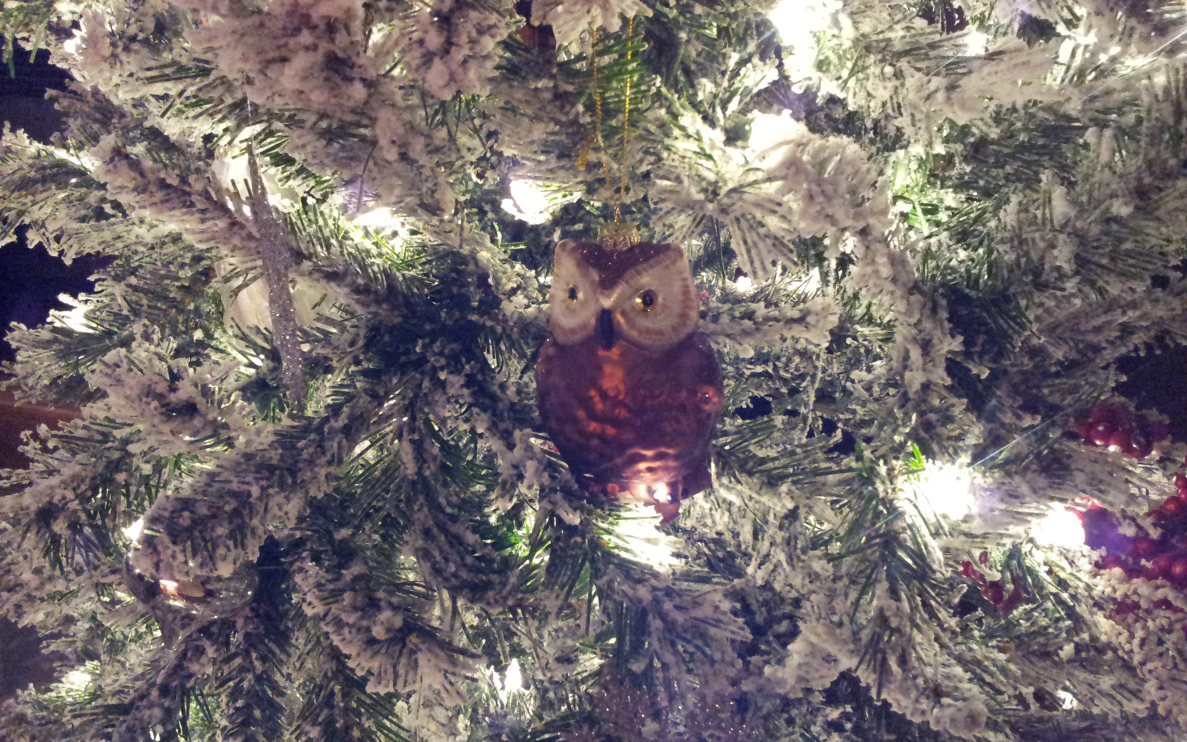 Зимний снег новогодняя елка