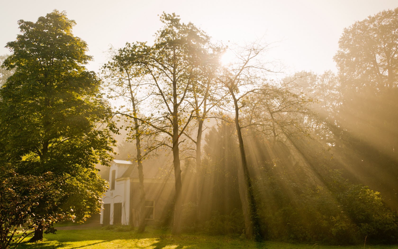 Солнце над Амстердамом