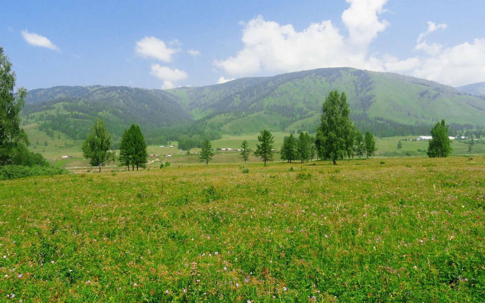 Российский пейзаж с холмами