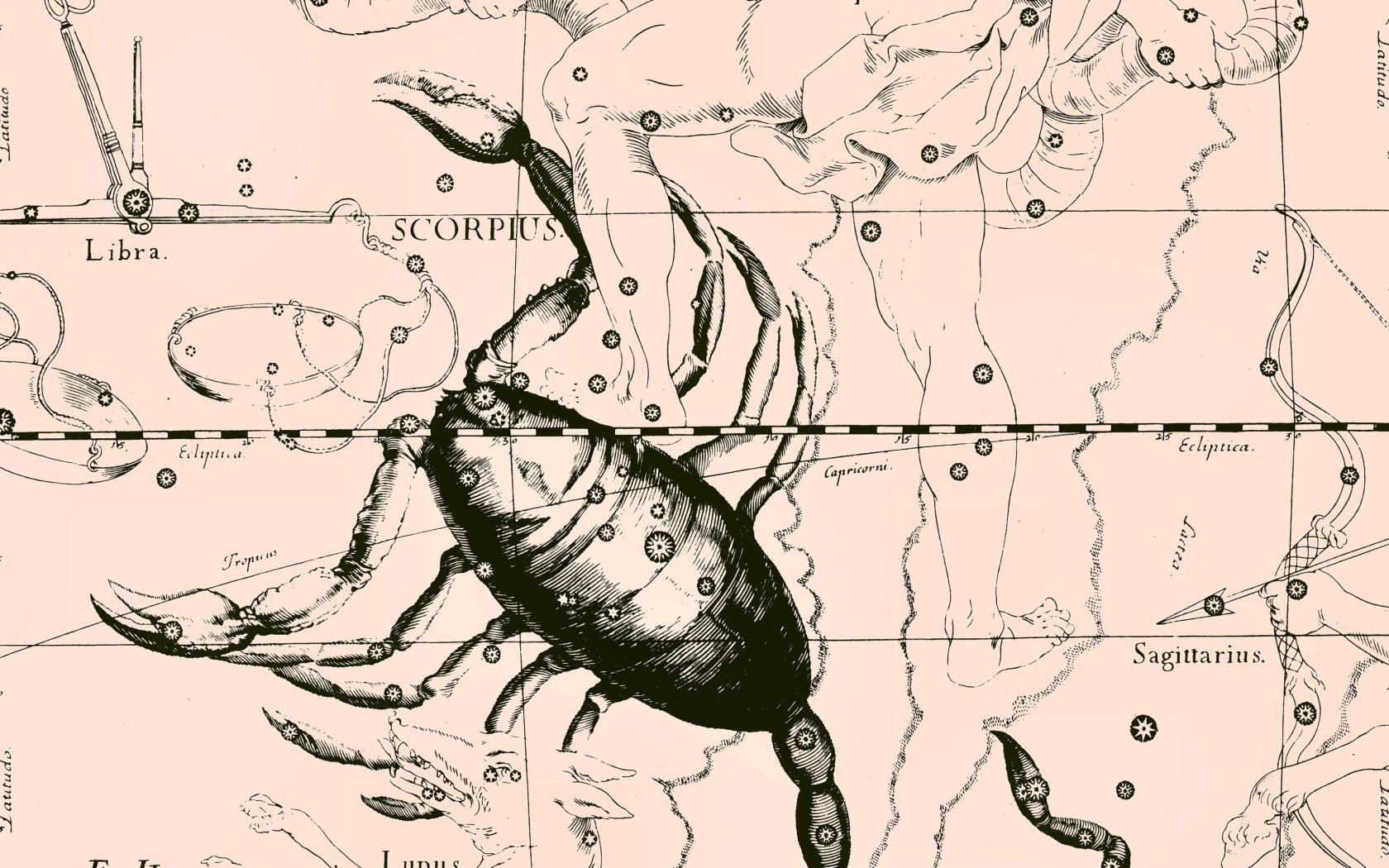 Карта звездного неба, скорпион, розовый цвет