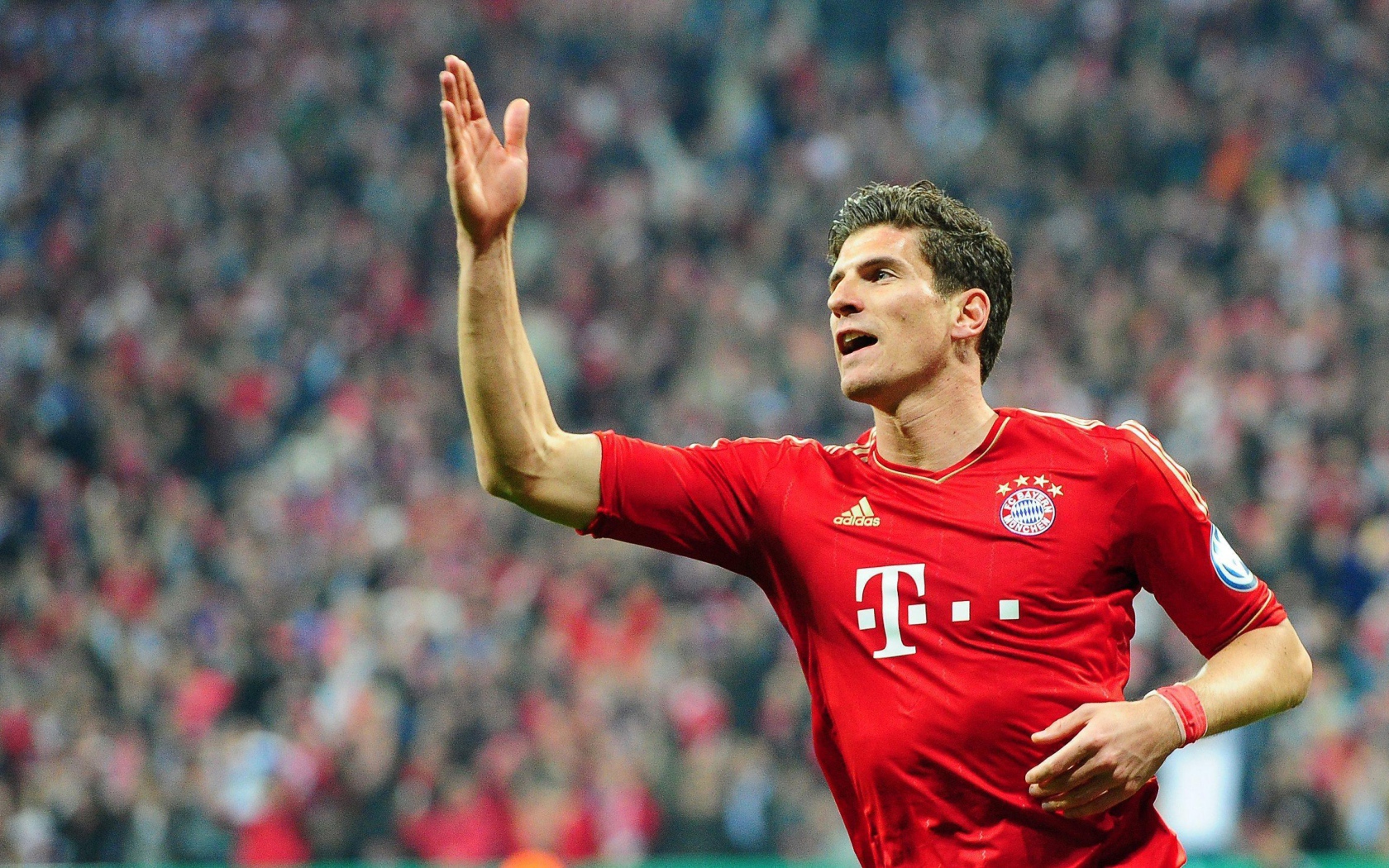 Фиорентина Марио Гомес благодарит болельщиков