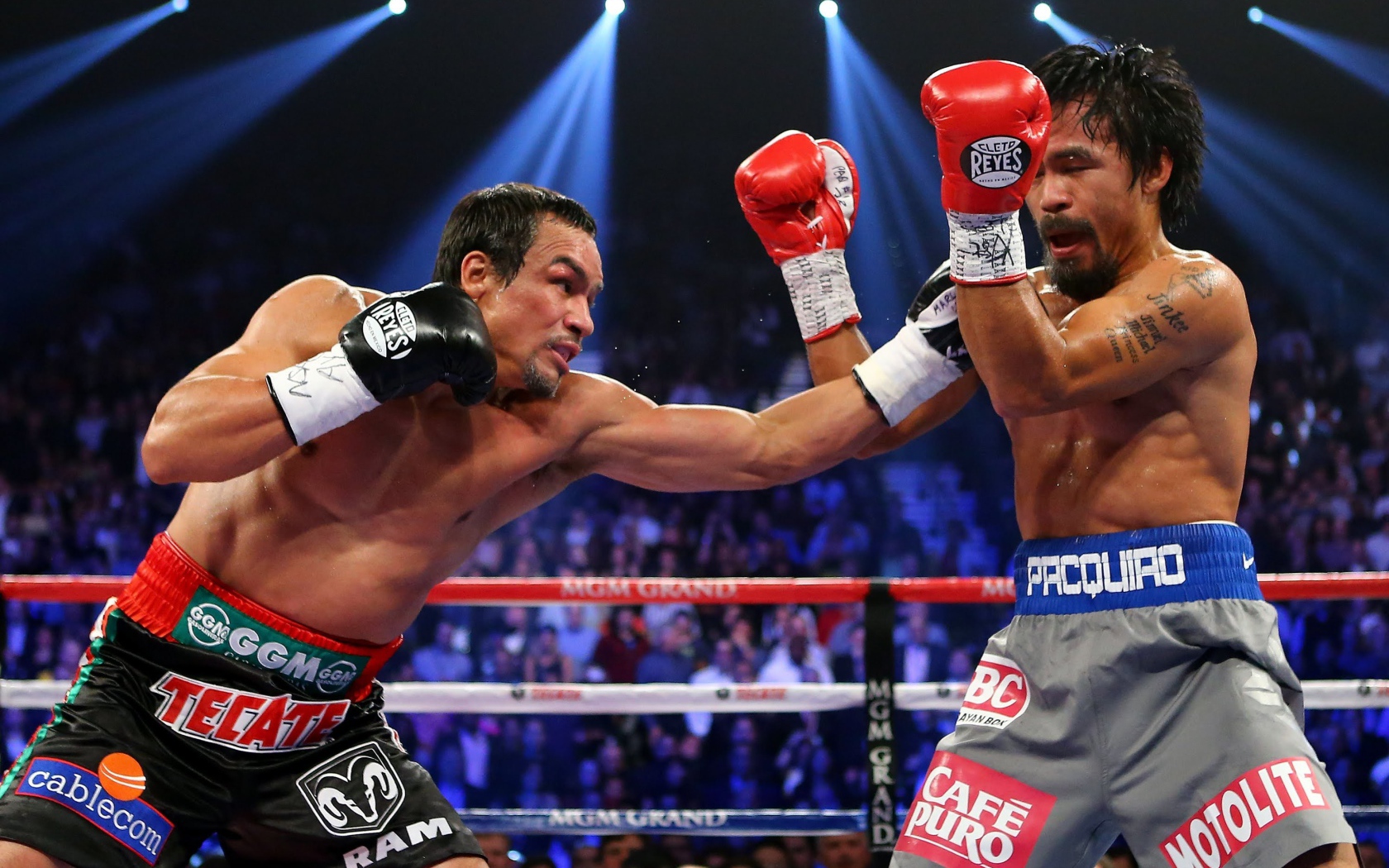 Хуан Мануэль Маркес против Тимоти Брэдли