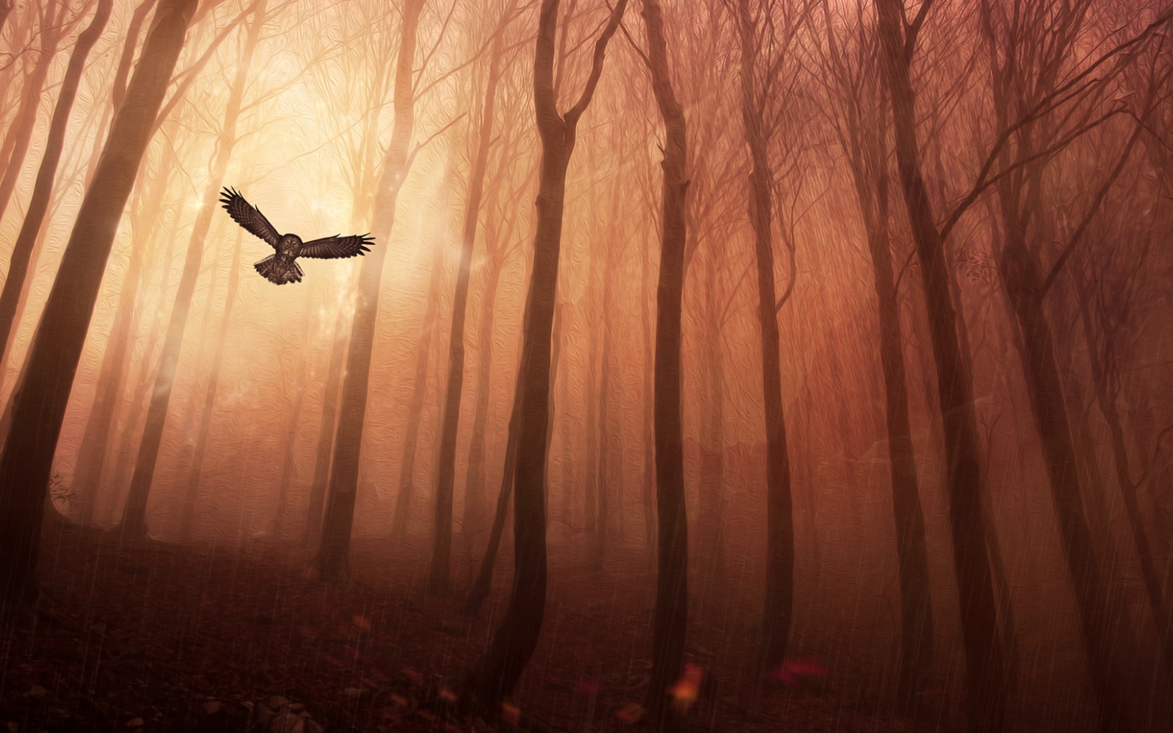 Сова в лесу