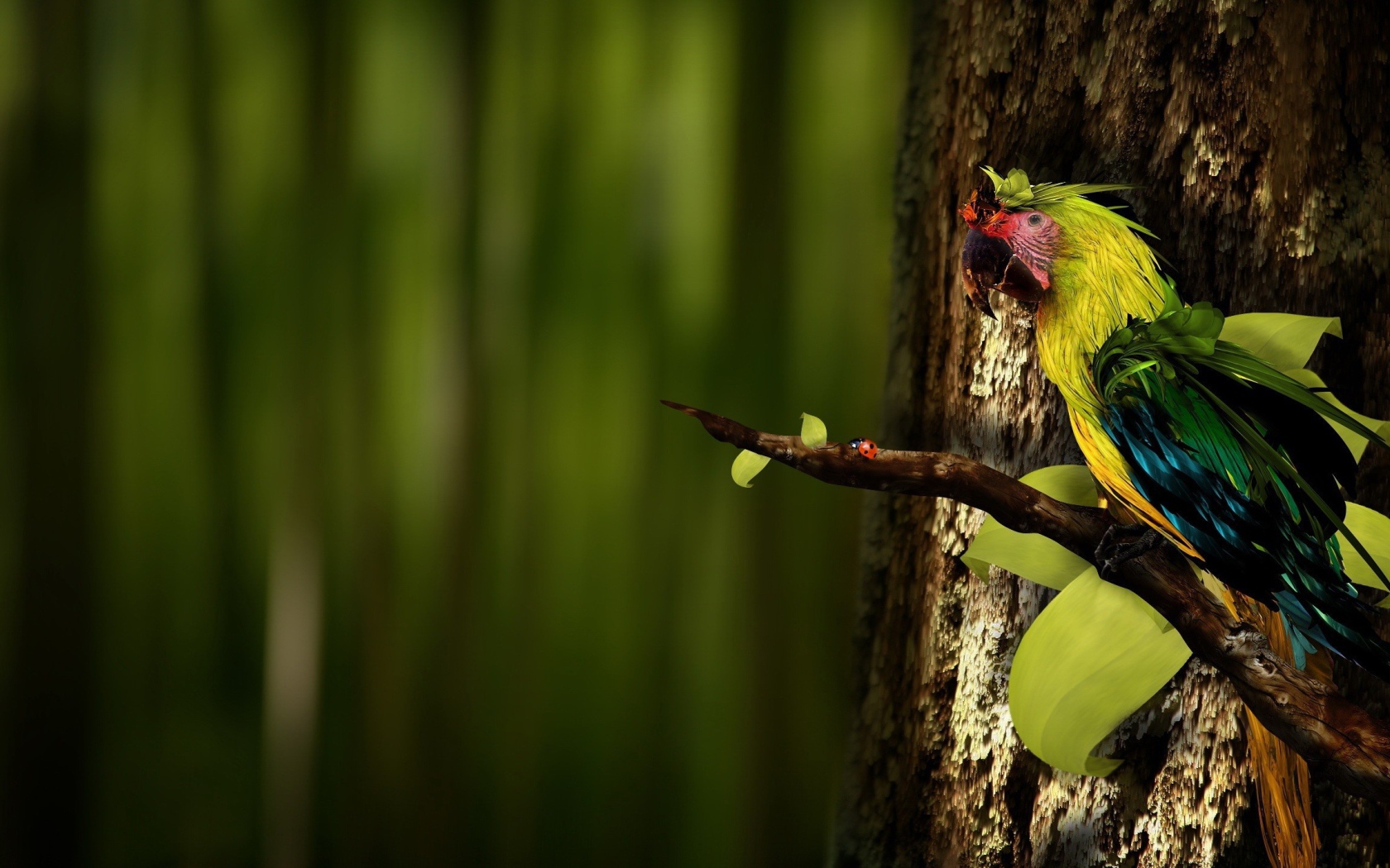 Попугай на ветке