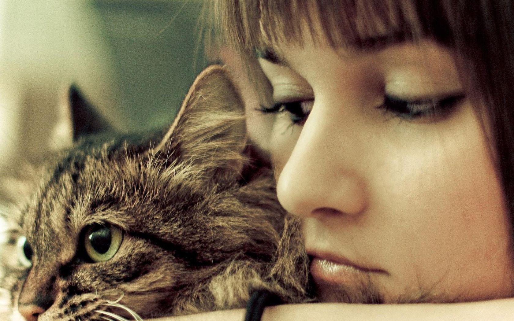 Портрет с кошкой