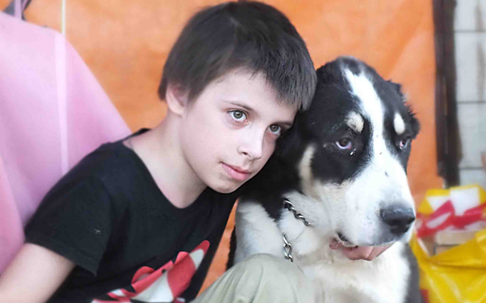 Мальчик сидит с алабаем