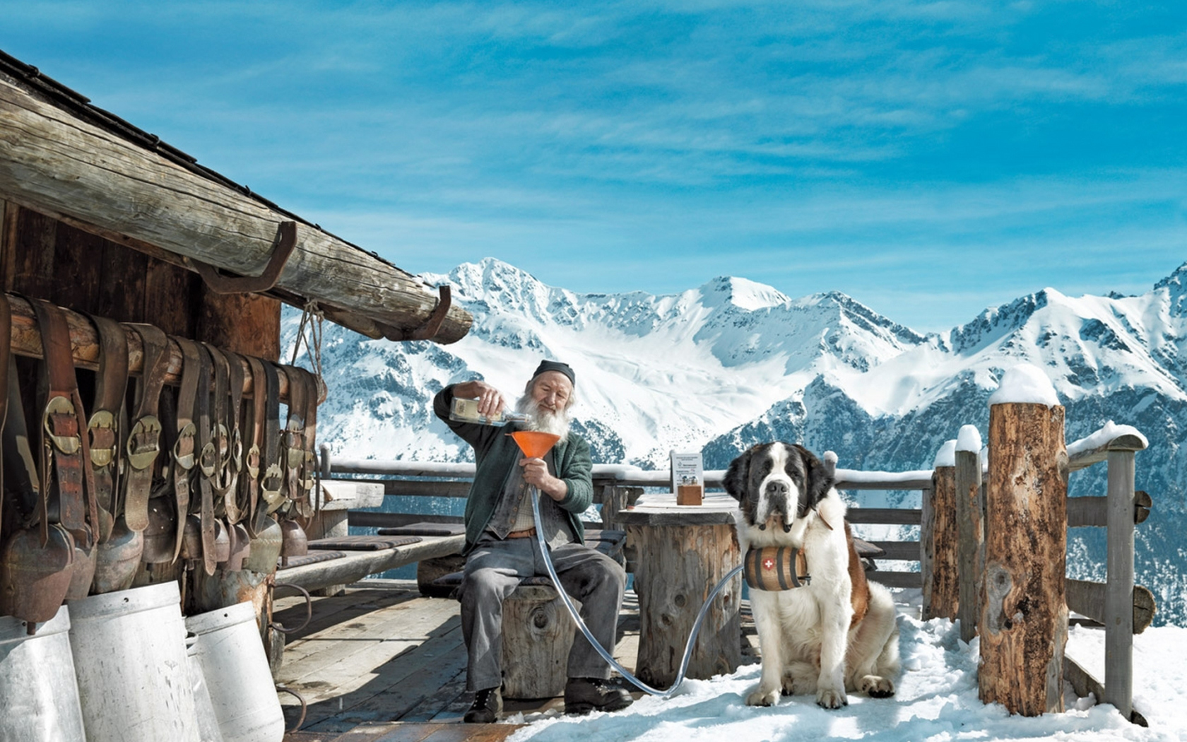 Старик с собакой сенбернаром