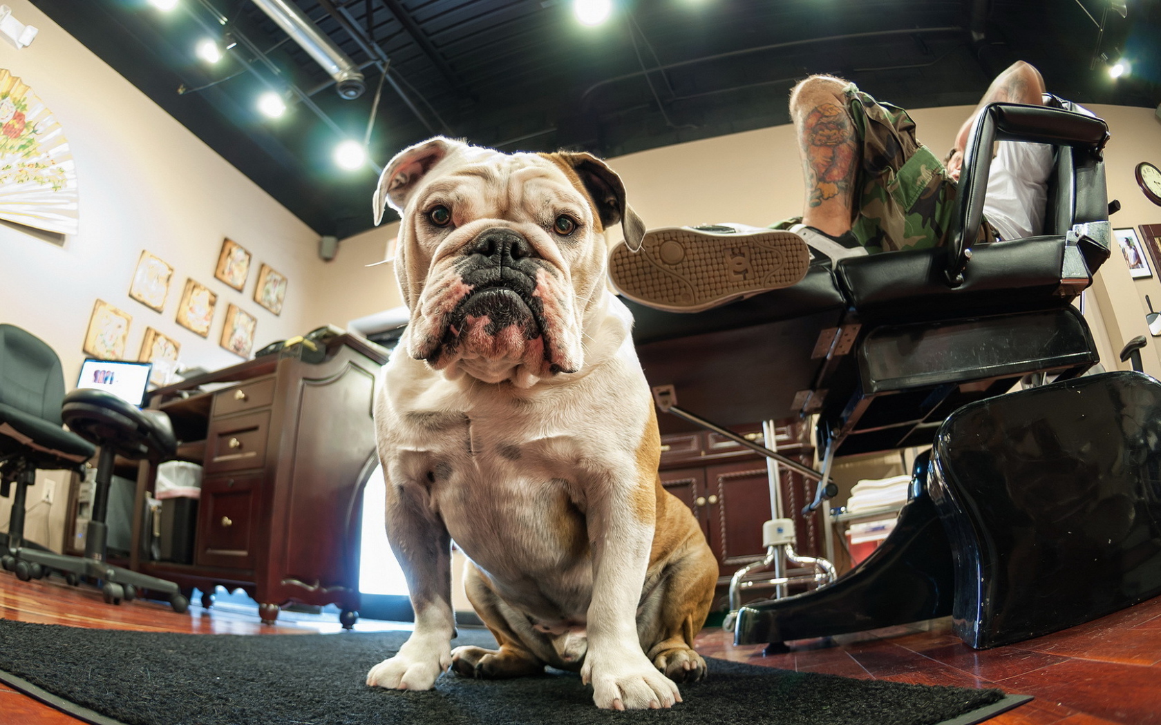 Собака у ног хозяина