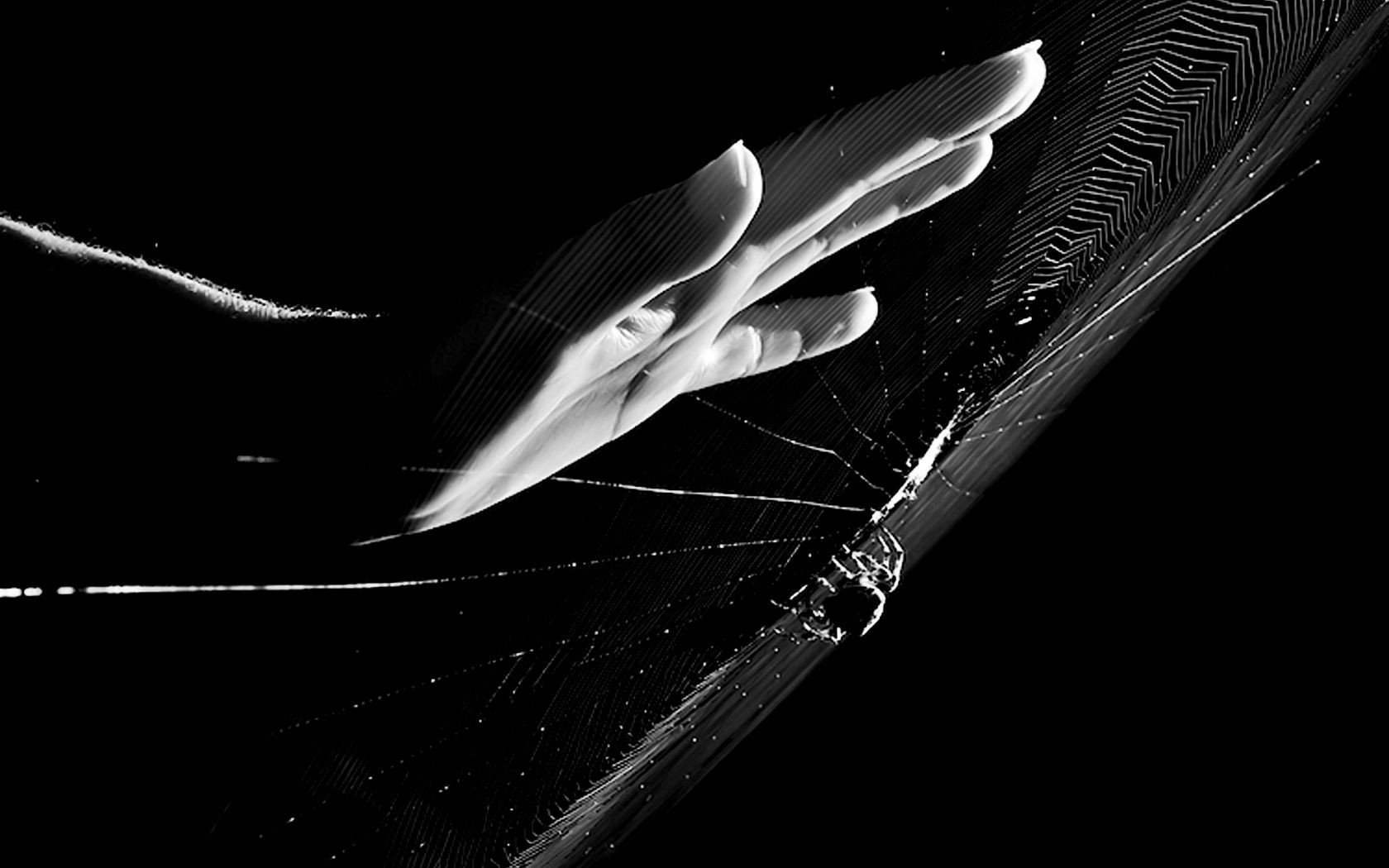 Рука у паутины