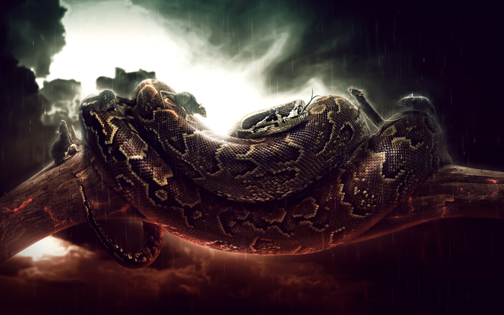 Мыши бегают по удаву