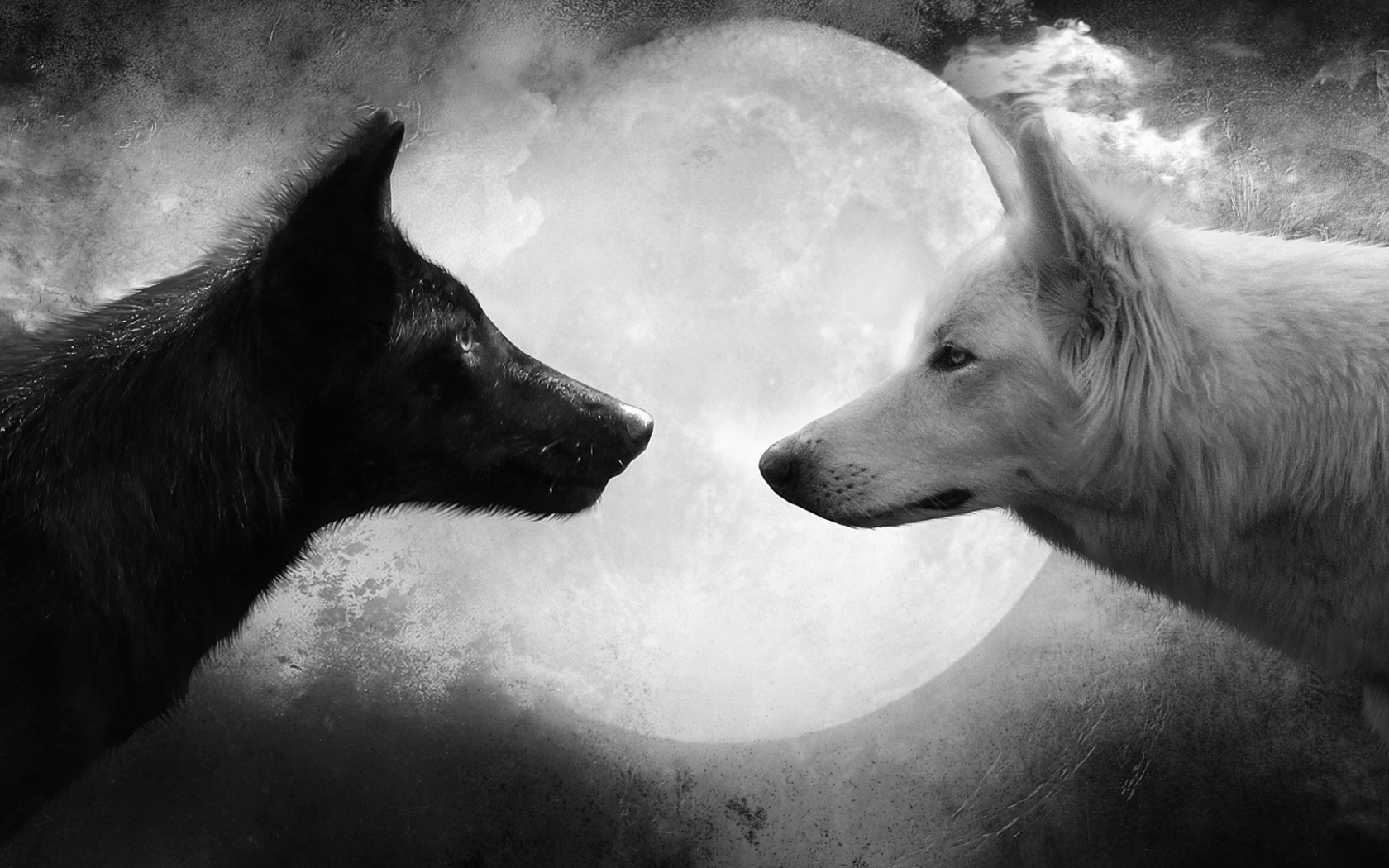 Волки на фоне луны