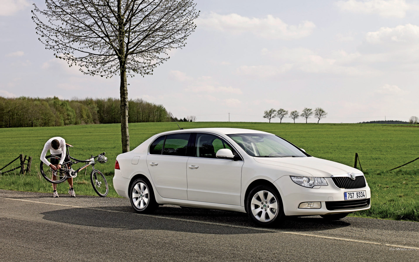 Надежная машина Skoda SuperB