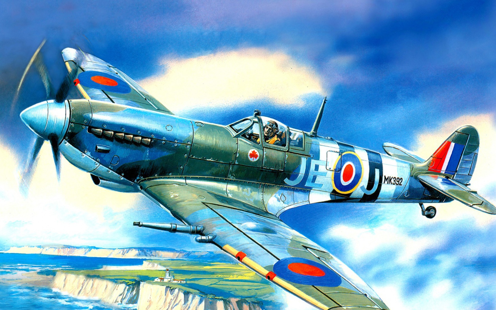 Самолет над заливом