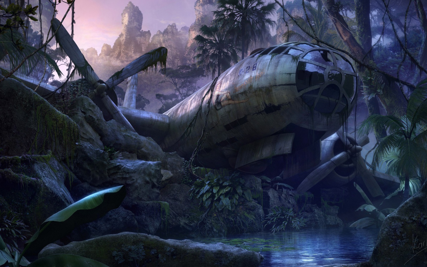 Самолет упал в джунгли