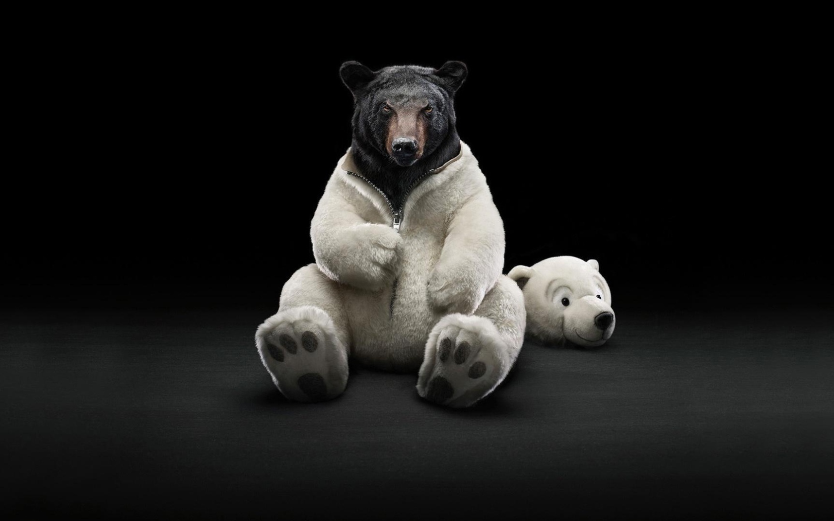 Черные обои с медведем