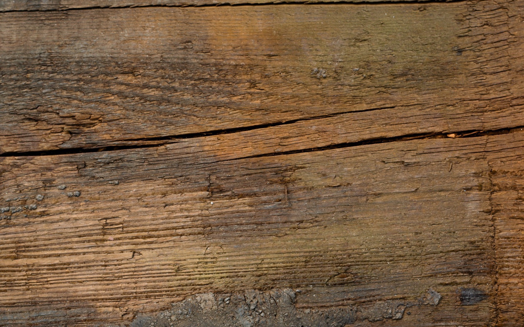 Растрескавшееся дерево