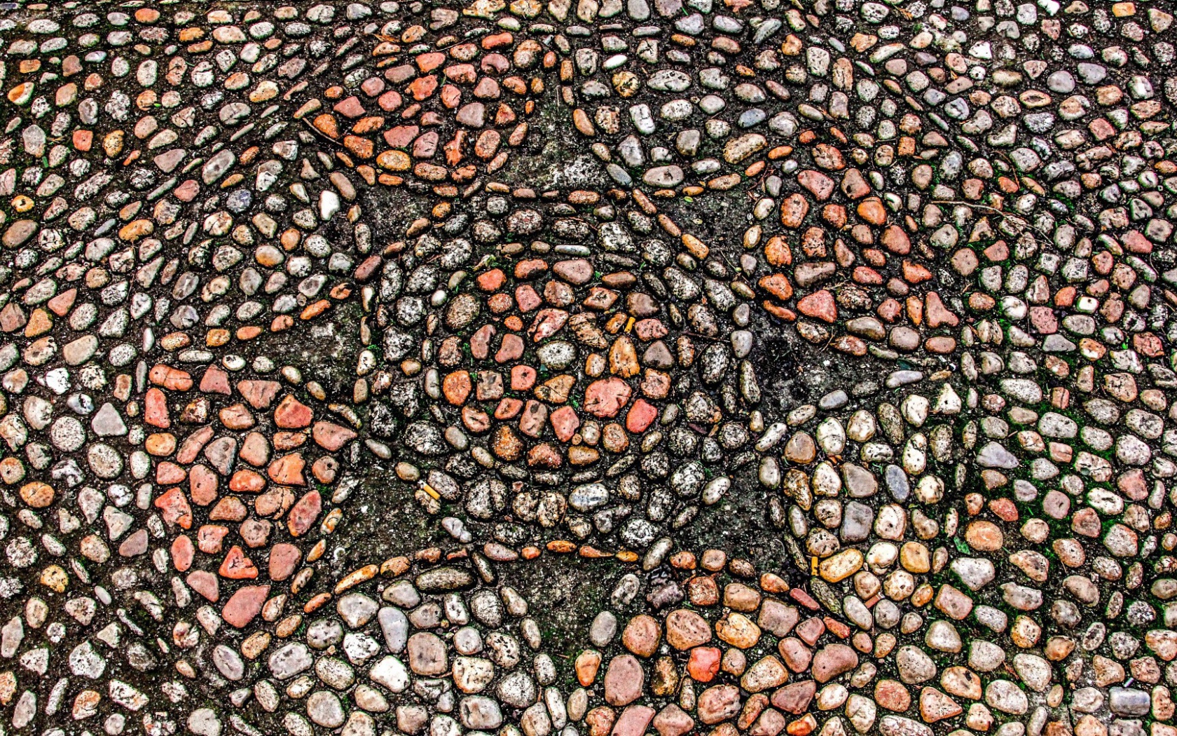 Узоры морского камня