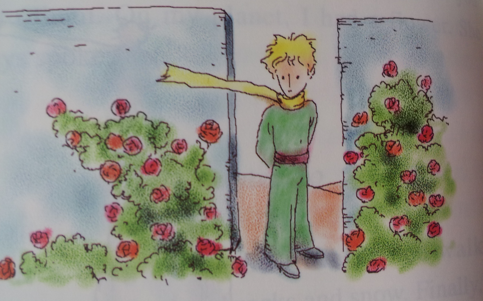 Книга о приключениях маленького принца