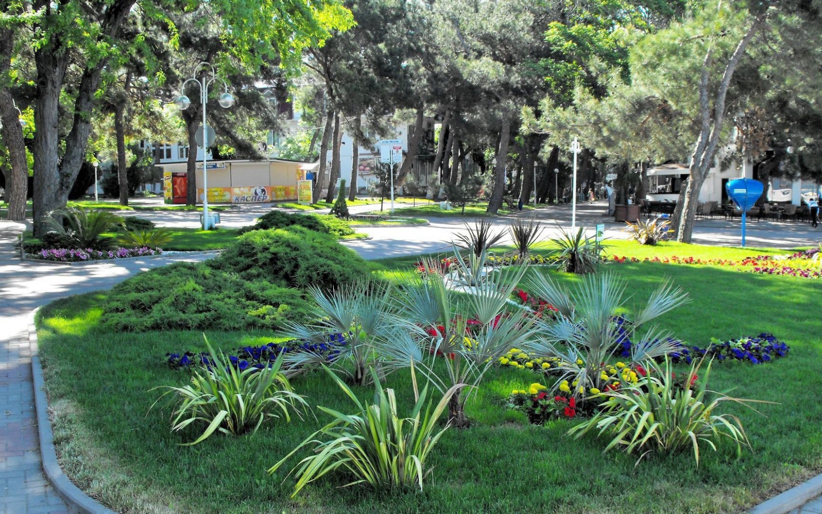 Клумба в городе