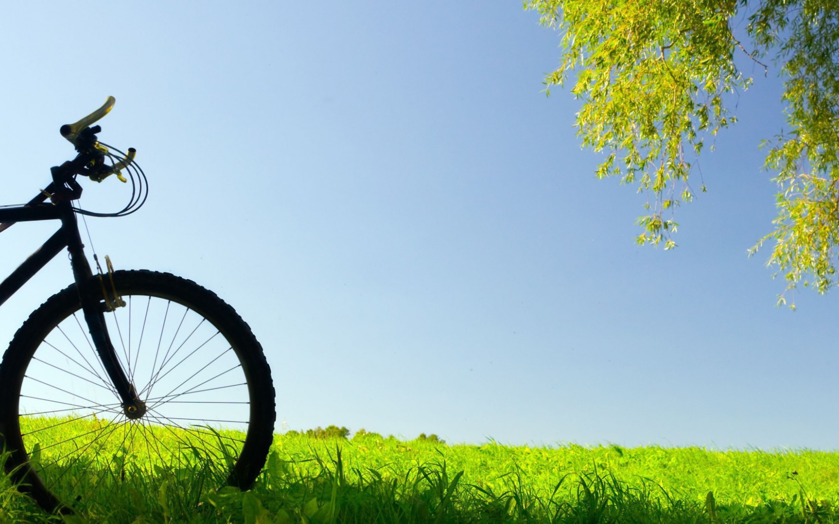 Велосипед в поле