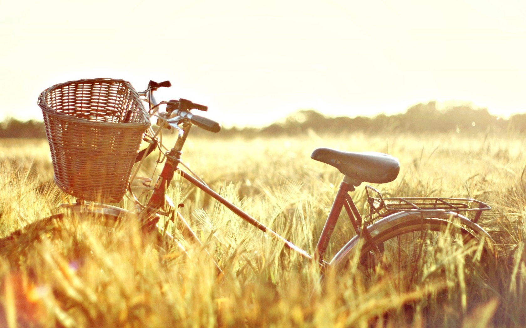 Велосипед в поле