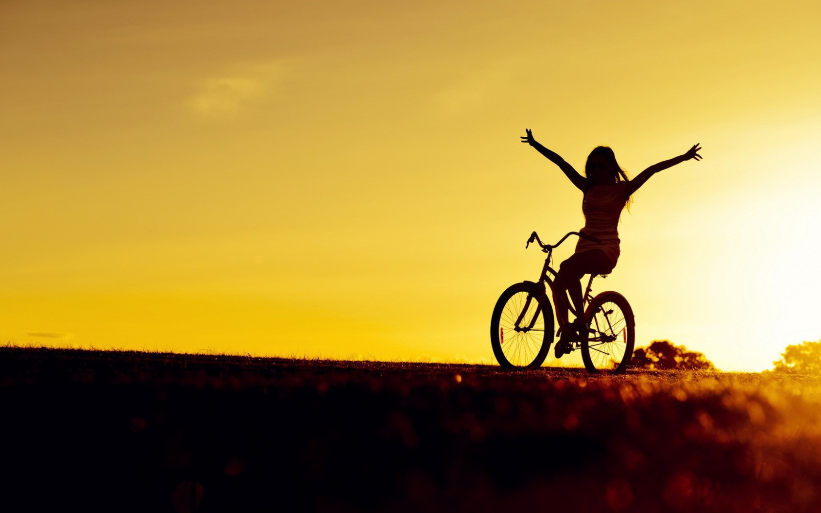 Велосипедистка на закате